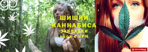 сатива Волосово