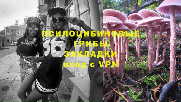 сатива Волосово